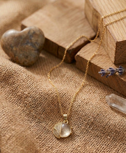 Fish transparent lobe gold plated necklace