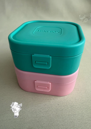 Square plastic jewelry organizer with secure closure and leather handle